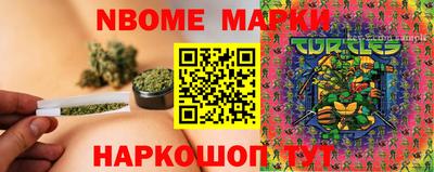 бошки Гатчина