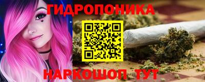 бошки Гатчина