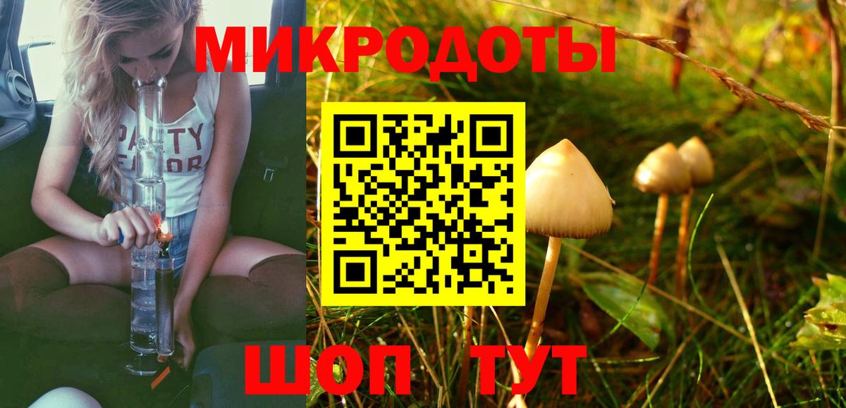 Галлюциногенные грибы Cubensis Нефтекумск