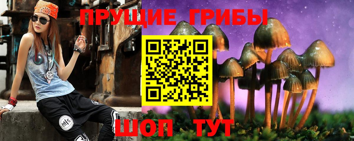 Нефтекумск  Псилоцибиновые грибы Magic Shrooms  Вход с VPN  Галлюциногенные грибы Cubensis 
